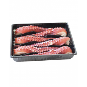 Brazo de pulpo 6 und