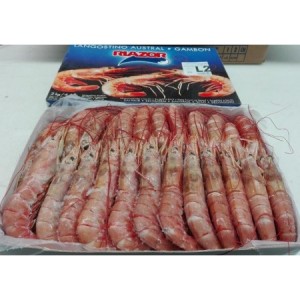 Gambon nº1 10/20