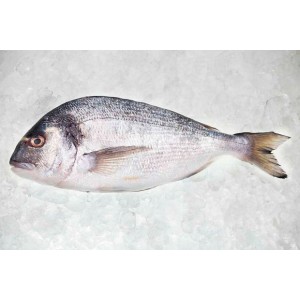 Dorada Entera Eviscerada