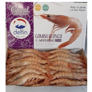 Gamba Blanc nº 1.