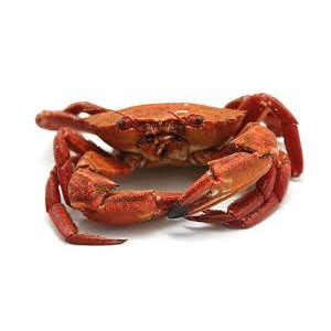 Nécora cocida 6/9und